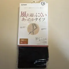 GUNZE 風を通しにくいあったかタイツ 50デニール M-Lのサムネイル