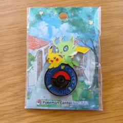 最安値!!】ポケモンセンター 福岡限定 ピンズ ピンバッジ 福岡