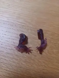 フィギュア モンハン モンスターハンター 22 メルゼナ パーツ
