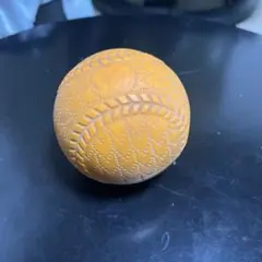 プライオボール　400グラム