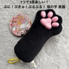 1つで3度楽しい！ぷに！ぷきゅ！ぶるぶる！ 猫の手 黒猫のサムネイル
