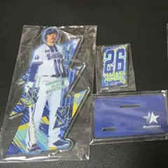 横浜DeNAベイスターズ 三森大貴 アクリルスタンド - メルカリ