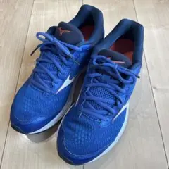 Mizuno WAVE RIDER 22 27.0cm
