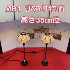 Item thumbnail for item 5e81d238-f17e-4959-b584-19b48d40dec6