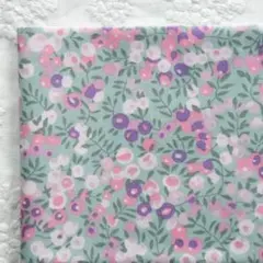 ウィルトシャー