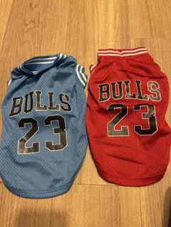 Item thumbnail for item df5cdf52-17ac-455f-8d3b-34adab4dcc98