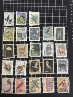 Item thumbnail for item 6f7a3111-e6d5-45d4-a375-380cd2ed6f5c