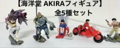 【海洋堂 AKIRAフィギュア】彩色版 全5種セットまとめ売り　希少品