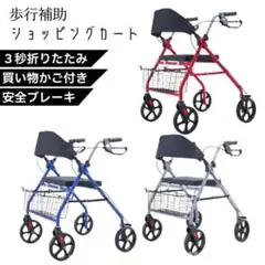 ぷぷぷ様専用 名探偵コナン オリジナルスケーターバイク - メルカリ