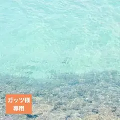 2026年最新】アマトラ メゾフォルテの人気アイテム - メルカリ