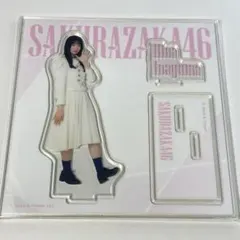 小林由依 アクリルスタンド 選んでコメントください 櫻坂46 小林由依 アクリルスタンド 2個セット - メルカリ