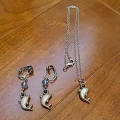 イヤリングとネックレスのセット