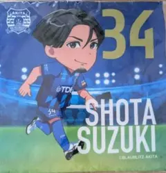 Item thumbnail for item 9cb4341f-bd92-4cd2-9433-04f43058528d