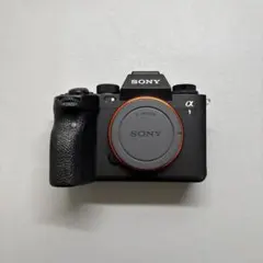 2026年最新】α1 sony ilce-1の人気アイテム - メルカリ
