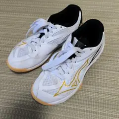 バレーボール シューズ MIZUNO 23.5cm