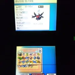 DS ポケモン ソウルシルバー ソフト