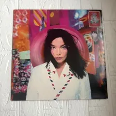 2026年最新】BJORK lpの人気アイテム - メルカリ