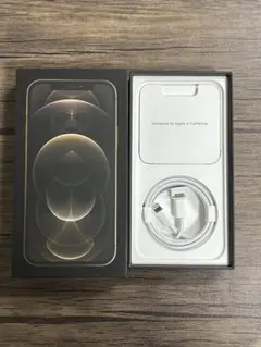 Item thumbnail for item 79c22059-0f63-4148-a980-77337be5920d