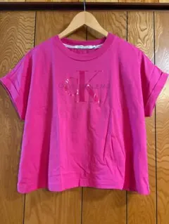 Calvin Klein Jeans カルバンクラインジーンズ 半袖Tシャツ Lのサムネイル