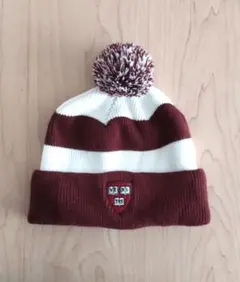 Item thumbnail for item 10873d92-c8dc-461d-a2a3-243c1021e6a9