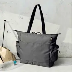テバ　トートバック　モノマックス9月号付録