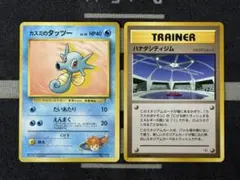 【10点2500円引き】カスミ2枚セット③