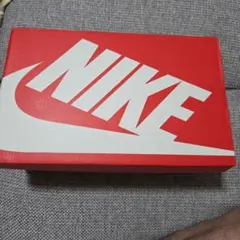 NIKE Dunk Low ホワイト/グレー