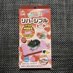 Item thumbnail for item 2f7bd875-ce45-41ae-9d13-4cb4278f5ea0