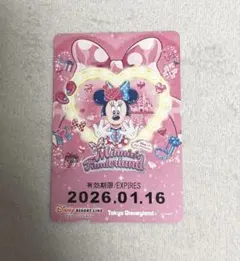 ディズニーリゾートラインフリーきっぷ　ミニーパルパルーザ