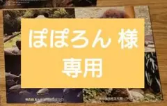パンダ グッズセット 上野動物園 モノレール 記念スタンプ 動物園