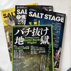 田辺哲男 バズフィッシング道場、 バス釣りストロングパターン等 4冊