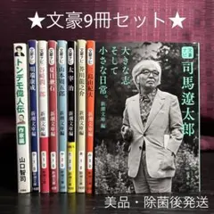 Item thumbnail for item 089b42b0-f21a-48ef-af83-08a74e10eb6c