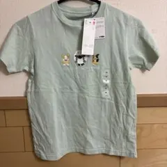 ユニクロ　キッズ　　ポケモンUT 半袖