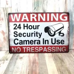 看板☆WARNING 危険　白赤　防犯カメラ　立入禁止　24時間監視　横　314