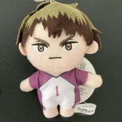 2025年最新】ハイキュー マスコット モーリーファンタジーの人気