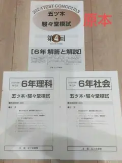 2023年度 駸々堂模試　3科　問題用紙・正答例 2024年度 第3回 五ツ木・駸々堂模試 - メルカリ