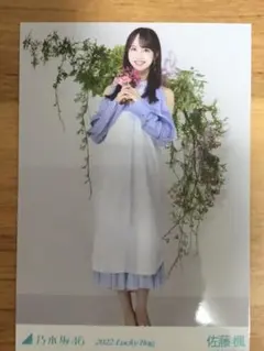 乃木坂46 2022年 福袋B 生写真 佐藤楓　カレンダー衣装