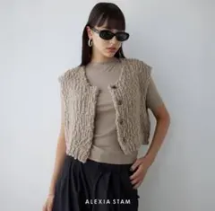 Cropped Knit Vestのサムネイル