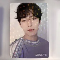 SEVENTEEN ミンギュ 会場限定 FC更新トレカ - メルカリ