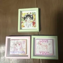 3コインズりぼん 70thマグネット 3種セット