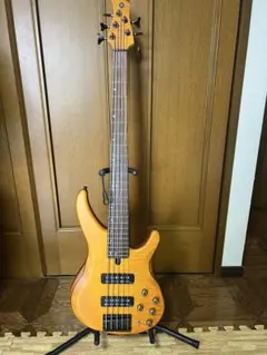 Heartfield DR 希少品 ベース（Bass） DR4 Heartfield Fender (by 1989 Bass 5-String Fender) ベース