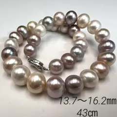 ✨超希少✨13.7〜16.2㎜　超大珠　大粒本真珠　マルチカラーパールネックレス