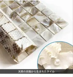 Item thumbnail for item 57a2d578-2038-4bfe-9c0d-66936b80dc7c