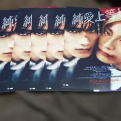 純愛上等フライヤー5枚セット