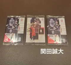 バレーボール　男子日本代表　ウエハース　関田誠大　レア
