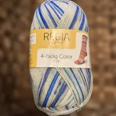 ⭐︎1881 REGIA 海外ソックヤーン　中細