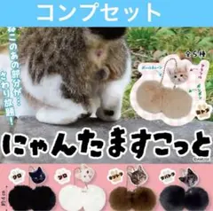 にゃんたますこっと ガチャ コンプセット