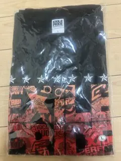 「EXILE LIVETOUR 2013 