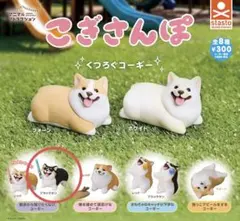 こぎさんぽ 散歩から帰りたくないコーギー（ブラックタン）