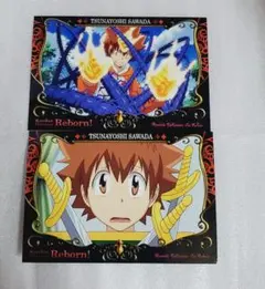 沢田綱吉 RE:BORN カード Vジャンプ付録 - メルカリ